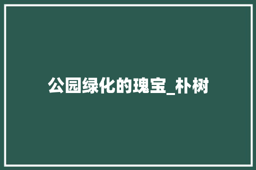 公园绿化的瑰宝_朴树