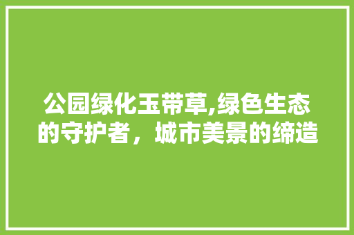 公园绿化玉带草,绿色生态的守护者，城市美景的缔造者