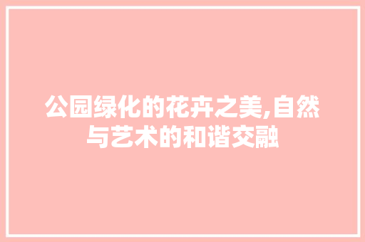 公园绿化的花卉之美,自然与艺术的和谐交融