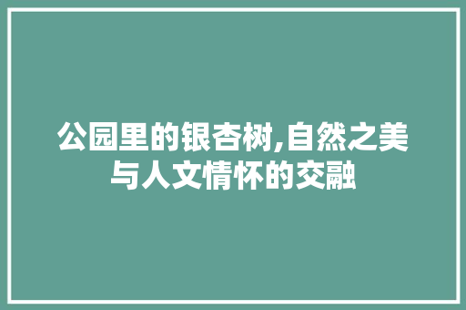 公园里的银杏树,自然之美与人文情怀的交融