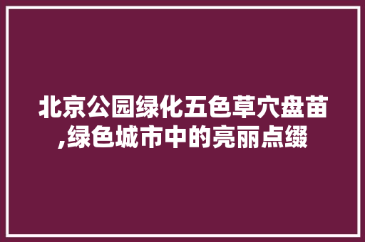 北京公园绿化五色草穴盘苗,绿色城市中的亮丽点缀