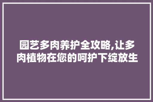 园艺多肉养护全攻略,让多肉植物在您的呵护下绽放生命力
