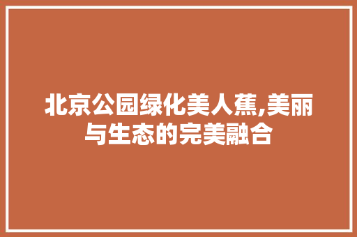 北京公园绿化美人蕉,美丽与生态的完美融合