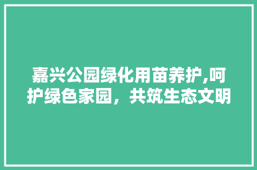 嘉兴公园绿化用苗养护,呵护绿色家园，共筑生态文明
