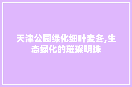 天津公园绿化细叶麦冬,生态绿化的璀璨明珠