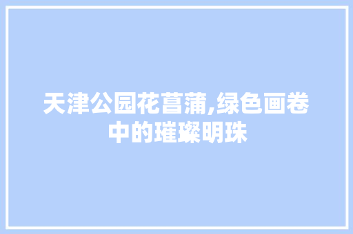 天津公园花菖蒲,绿色画卷中的璀璨明珠