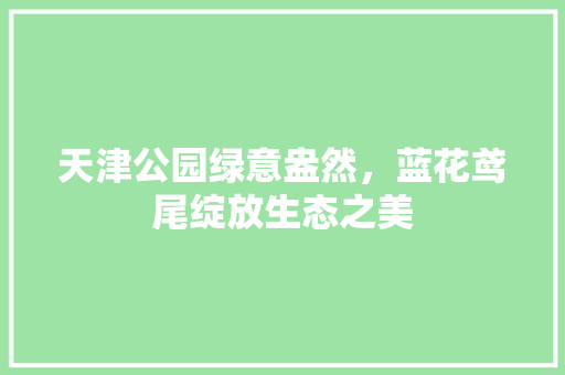 天津公园绿意盎然，蓝花鸢尾绽放生态之美