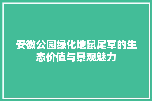 安徽公园绿化地鼠尾草的生态价值与景观魅力