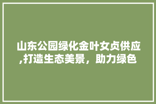 山东公园绿化金叶女贞供应,打造生态美景，助力绿色发展