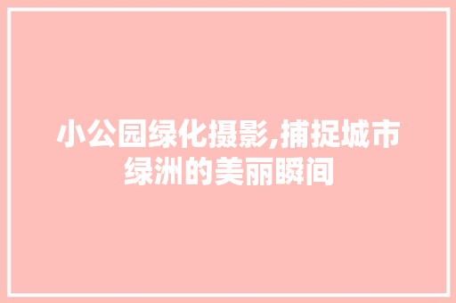 小公园绿化摄影,捕捉城市绿洲的美丽瞬间
