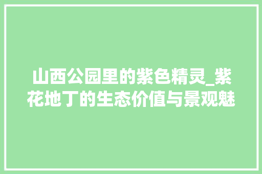 山西公园里的紫色精灵_紫花地丁的生态价值与景观魅力