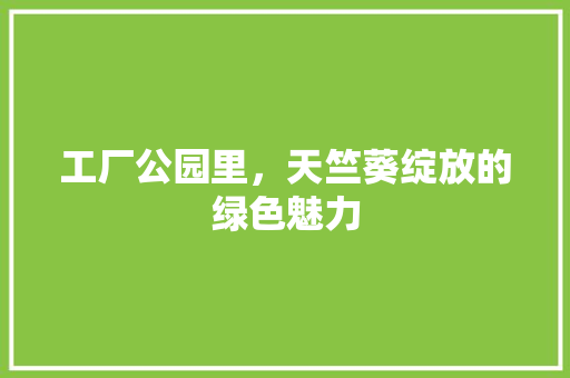 工厂公园里，天竺葵绽放的绿色魅力