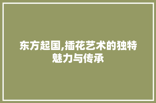 东方起国,插花艺术的独特魅力与传承