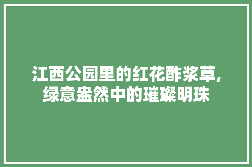 江西公园里的红花酢浆草,绿意盎然中的璀璨明珠 修剪方法
