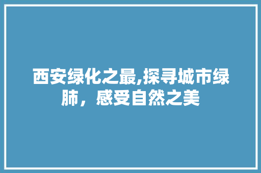 西安绿化之最,探寻城市绿肺，感受自然之美