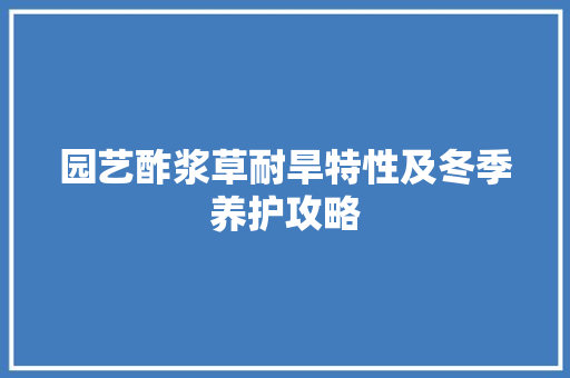 园艺酢浆草耐旱特性及冬季养护攻略
