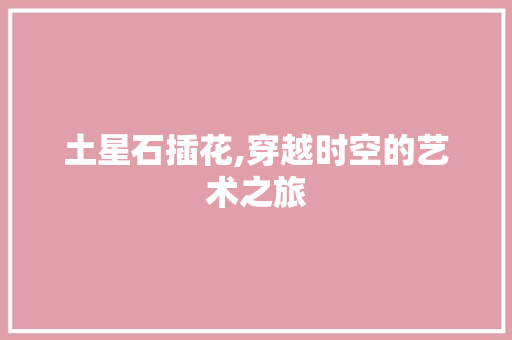 土星石插花,穿越时空的艺术之旅