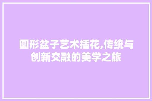 圆形盆子艺术插花,传统与创新交融的美学之旅