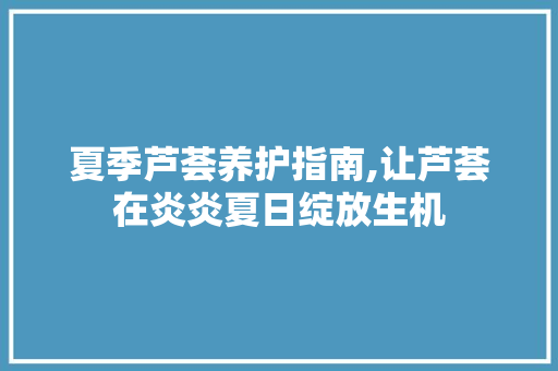 夏季芦荟养护指南,让芦荟在炎炎夏日绽放生机 土壤管理