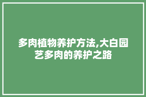 多肉植物养护方法,大白园艺多肉的养护之路