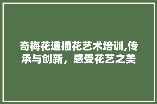 奇梅花道插花艺术培训,传承与创新，感受花艺之美