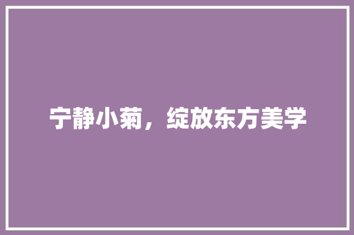 宁静小菊，绽放东方美学