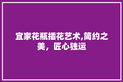 宜家花瓶插花艺术,简约之美，匠心独运